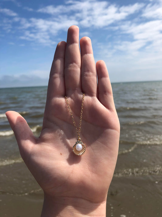 Necklace - Clam Shells